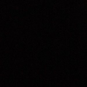 Meet your Posher, Shondrika